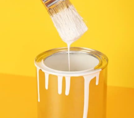 Paint Maintenance