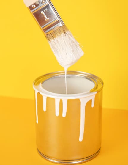 Paint Maintenance